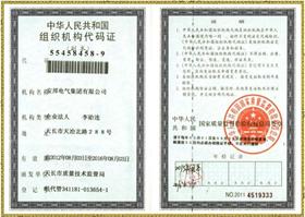 Organization Code Certificate